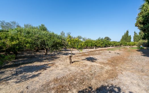 Near the Ebro river (924)