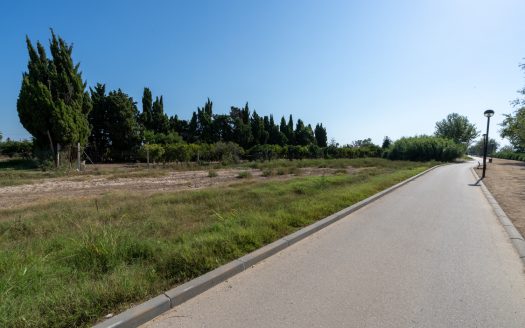 Near the Ebro river (924)