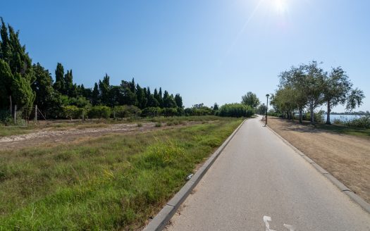 Near the Ebro river (924)