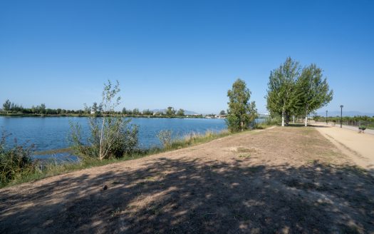 Near the Ebro river (924)