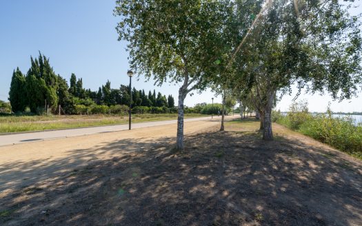 Near the Ebro river (924)