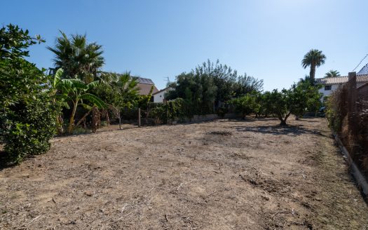 Urban terrain in Deltebre (925)
