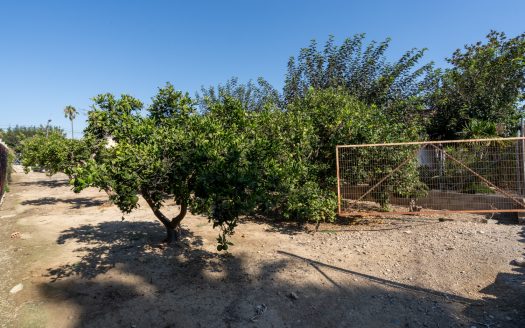 Urban terrain in Deltebre (925)