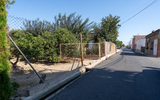 Urban terrain in Deltebre (925)