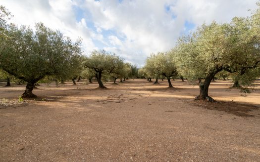 Irrigation water and good access (932)