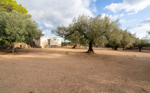 Irrigation water and good access (932)