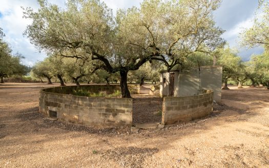 Irrigation water and good access (932)