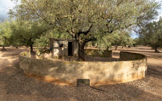 Irrigation water and good access (932)