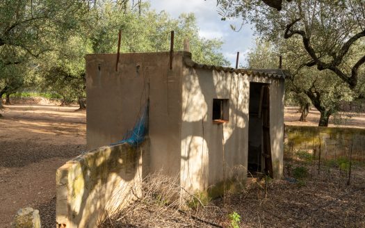 Irrigation water and good access (932)