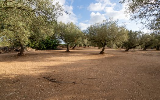 Irrigation water and good access (932)