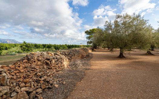 Irrigation water and good access (932)