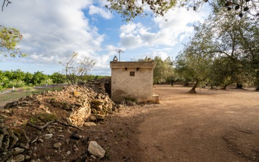 Irrigation water and good access (932)