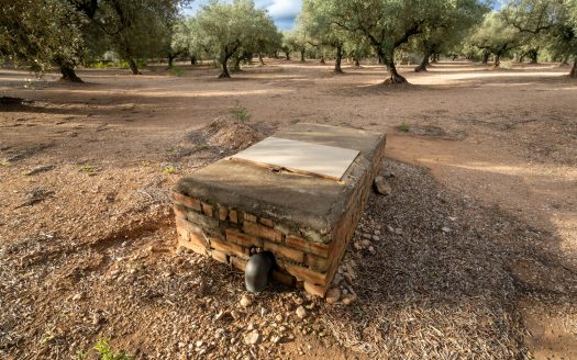 Irrigation water and good access (932)