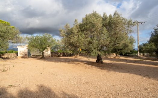 Irrigation water and good access (932)