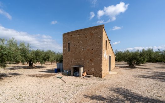 Bona connexió (935)