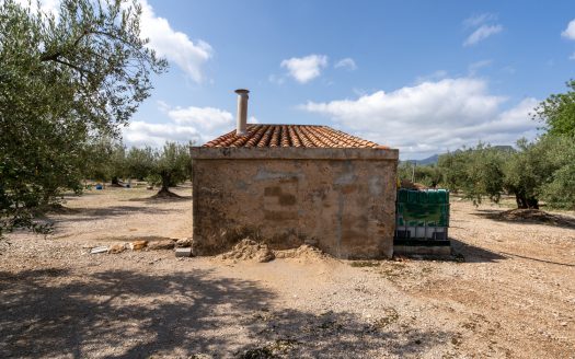 Bona connexió (935)