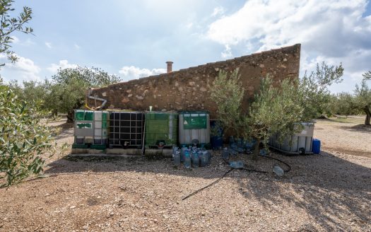 Bona connexió (935)