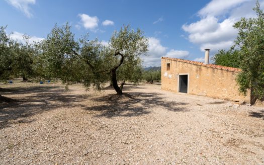Bona connexió (935)