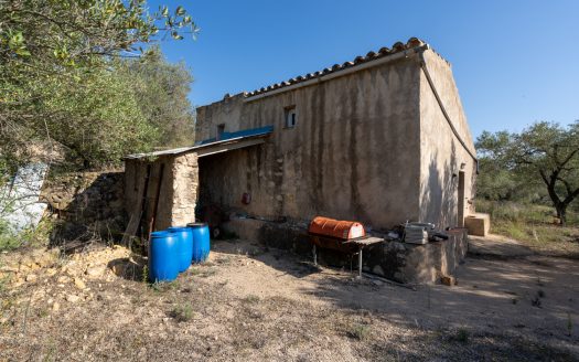 Sent la soledat (950)