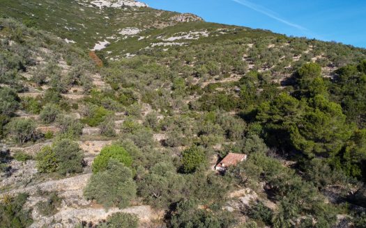 The mountain scenery (966)