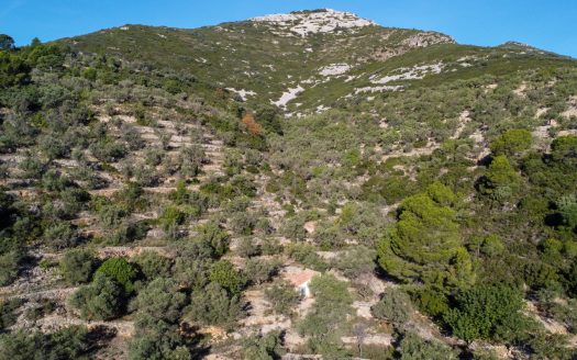 The mountain scenery (966)
