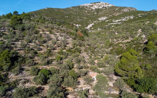 The mountain scenery (966)