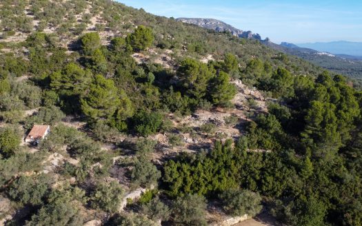 The mountain scenery (966)