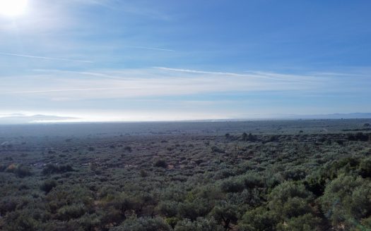 The mountain scenery (966)