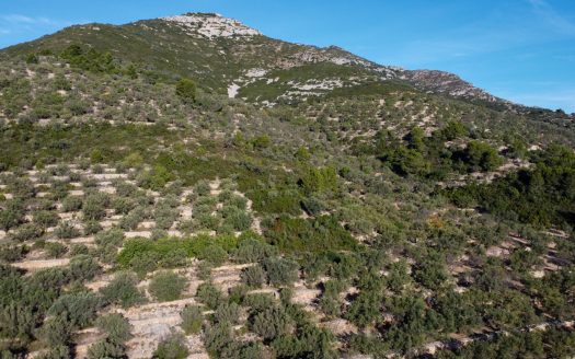 The mountain scenery (966)