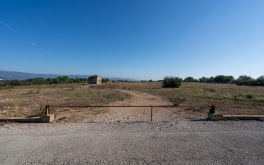 Farming settlement (967)