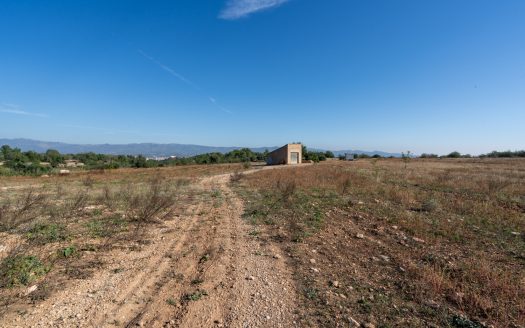 Farming settlement (967)