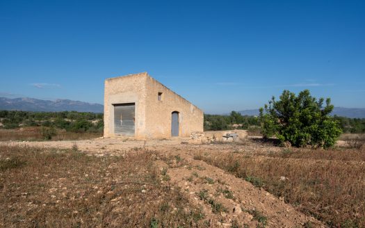 Farming settlement (967)