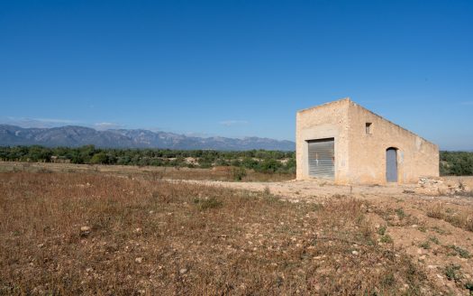 Farming settlement (967)