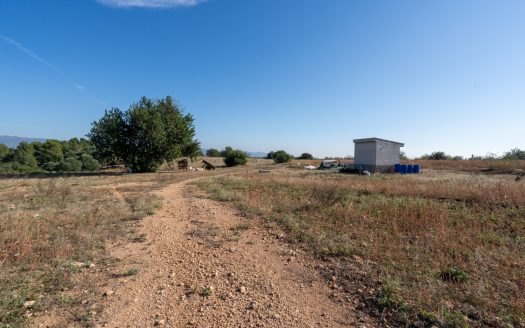 Farming settlement (967)