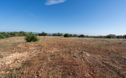 Farming settlement (967)