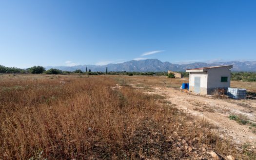 Farming settlement (967)