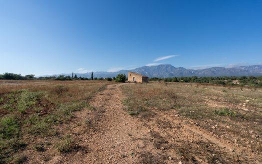 Farming settlement (967)