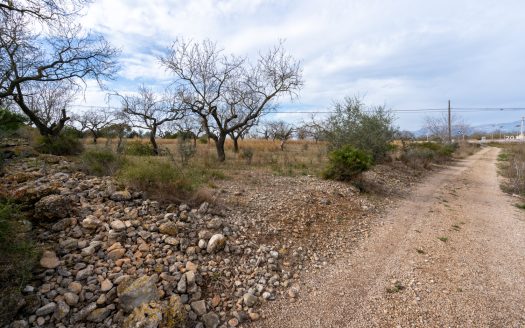 Land with possibility of water (13)