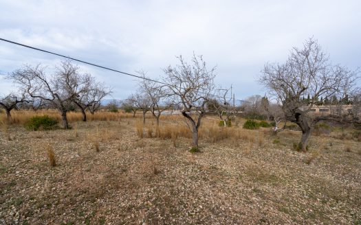 Land with possibility of water (13)