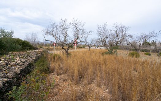 Land with possibility of water (13)