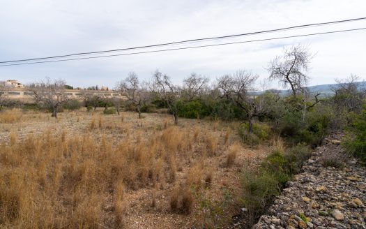 Land with possibility of water (13)