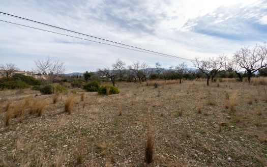 Land with possibility of water (13)