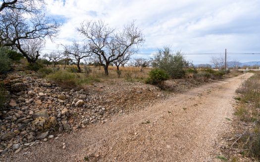 Land with possibility of water (13)