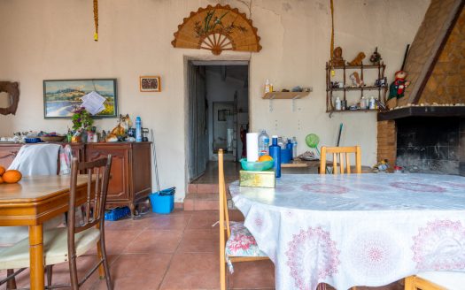 Una vida mucho más tranquila (14)
