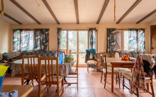 Una vida mucho más tranquila (14)