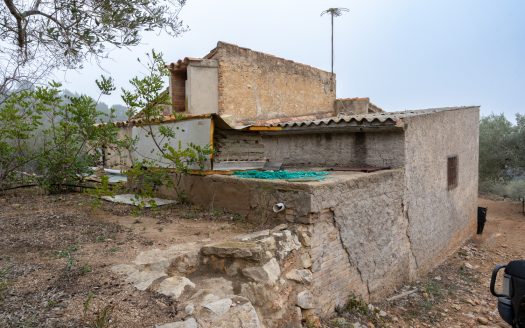 Una vida mucho más tranquila (14)
