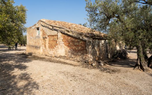 Más que una simple masía (27)