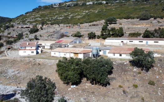 An investment for a rural business (33)
