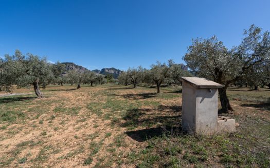 Paradís exòtic (39)