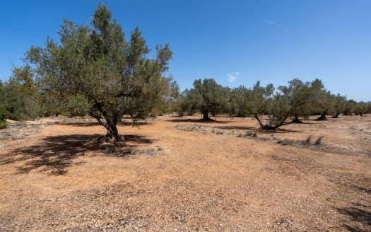 Property near the canal (37)